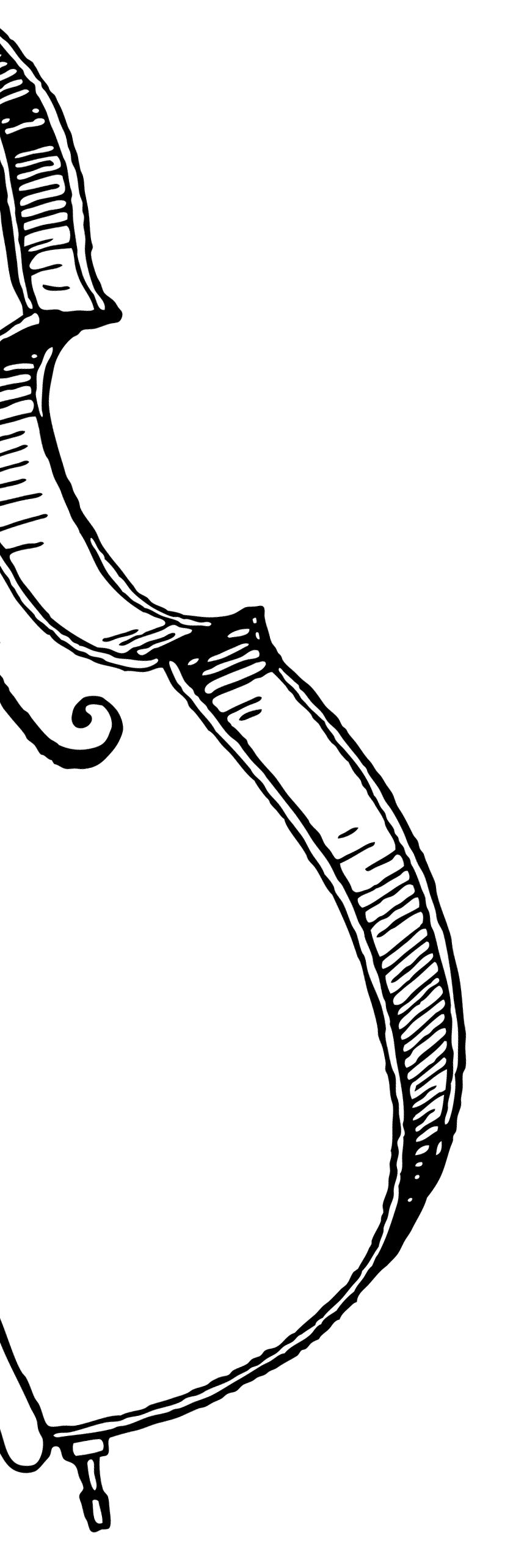 violin
